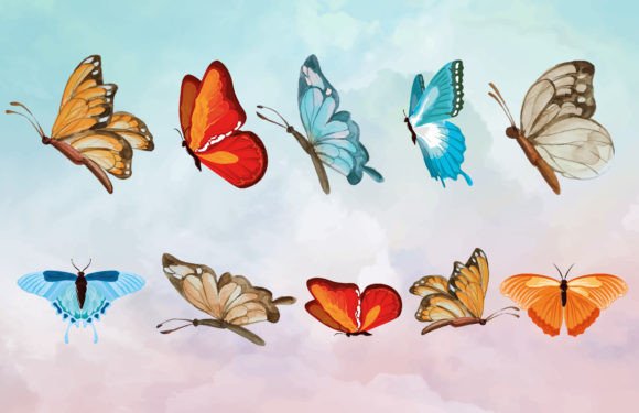 Download Watercolor Butterfly EPS Vector and JPEG - Eps vector Collection