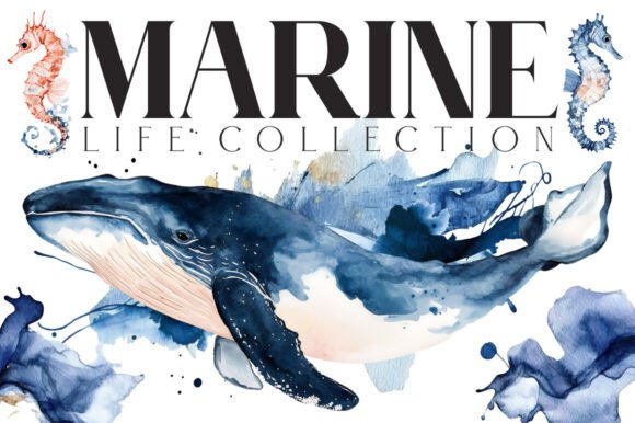 Download Marine Life Watercolor - Life Collection
